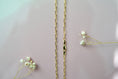 Load image into Gallery viewer, 2.7mm Solid 14k Gold Diamond Cut Paperclip Chain